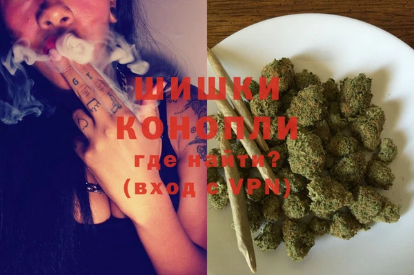 PSILOCYBIN Армянск
