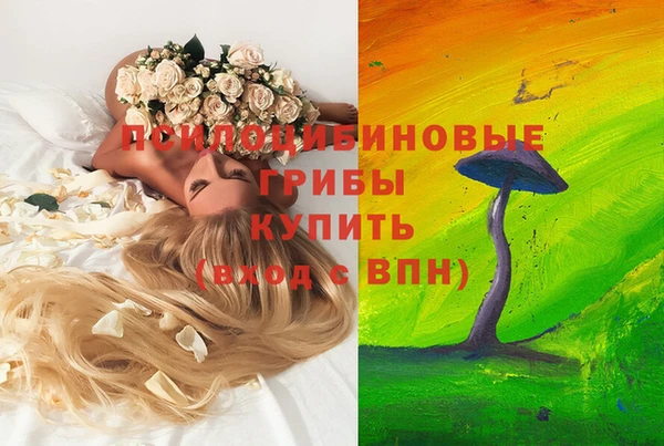 соль курить ск Арсеньев