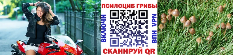 Галлюциногенные грибы MAGIC MUSHROOMS  Татарск 